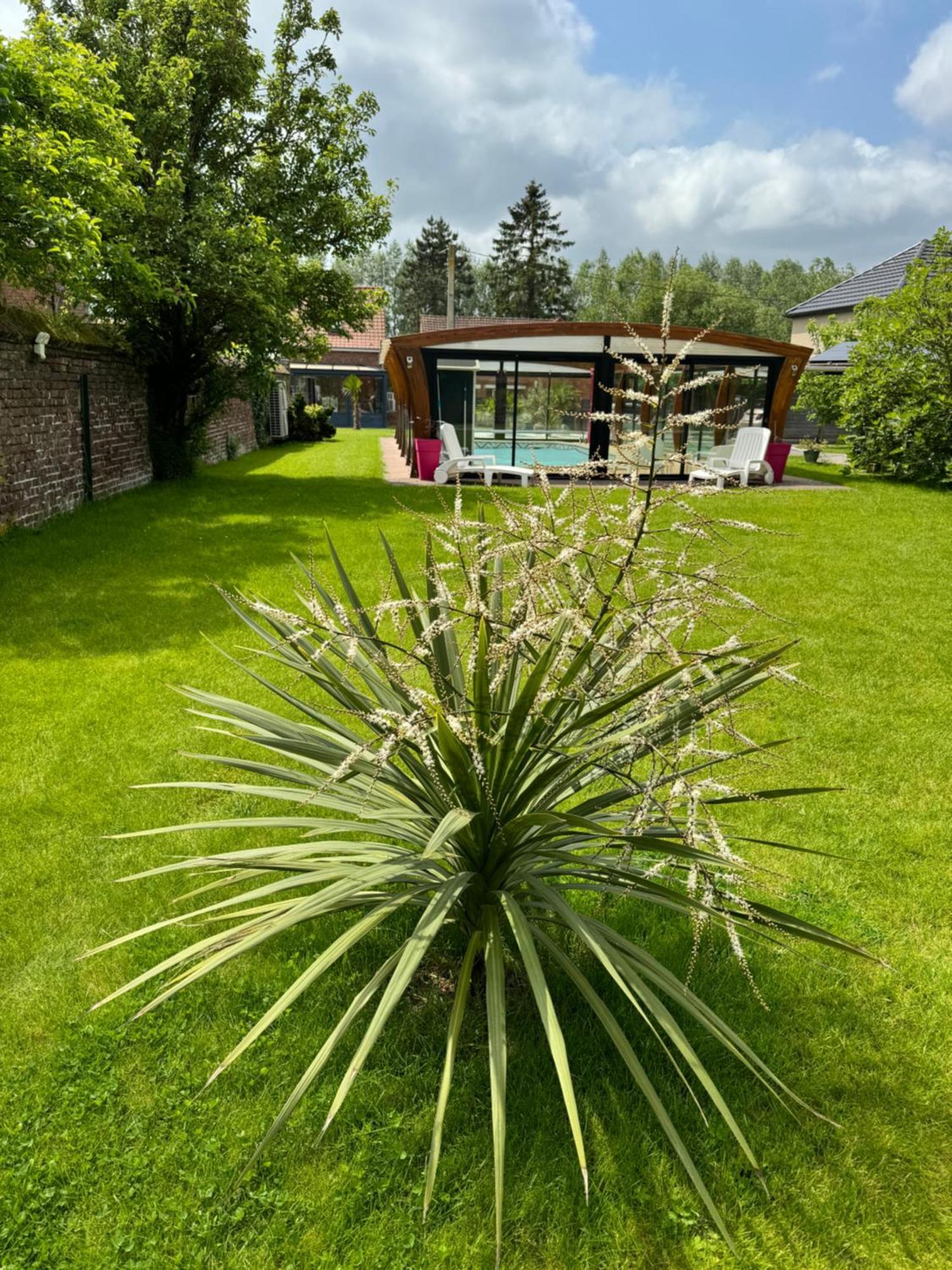 Gite Avec Piscine Lestrem Экстерьер фото